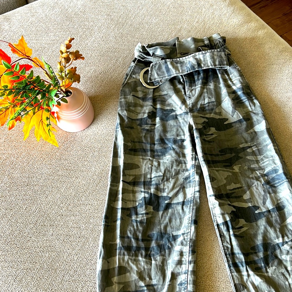 Express lady pants